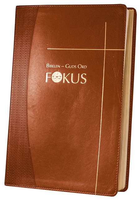Bibelen - Guds ord fokus : studiebibel