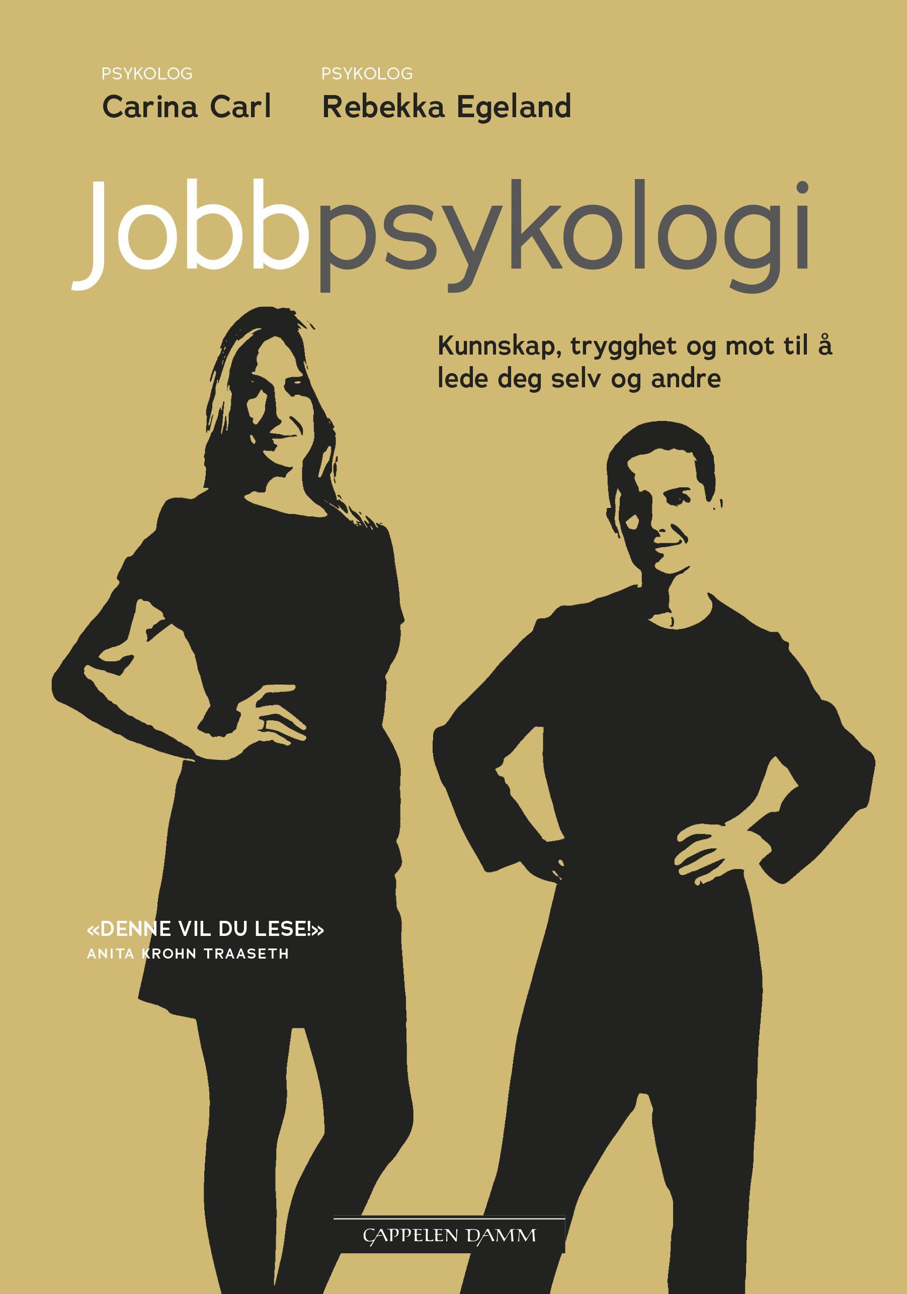Jobbpsykologi : få kunnskap, trygghet og mot til å lede deg selv og andre