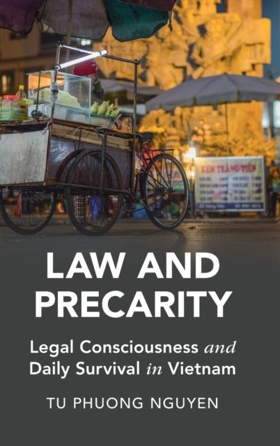 Law and Precarity : Legal Consciousness and Daily Survival in Vietnam