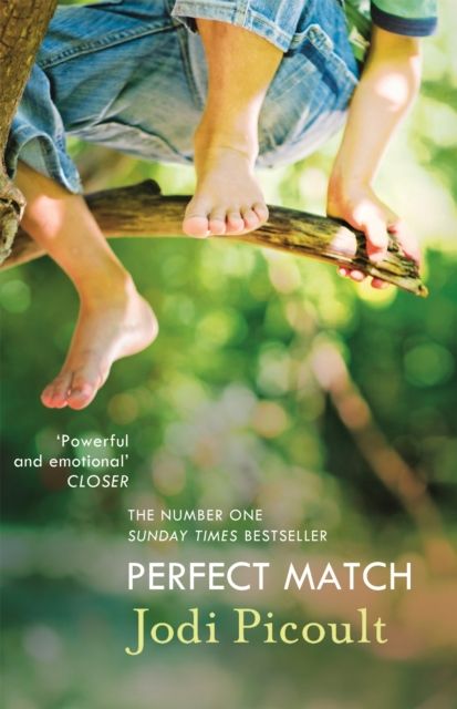 Perfect Match : the international bestseller about the strength of a mother's love