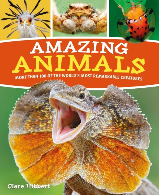 Amazing Animals : More than 100 of the World's Most Remarkable Creatures