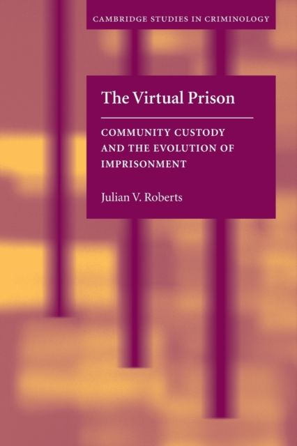 The Virtual Prison : Community Custody and the Evolution of Imprisonment
