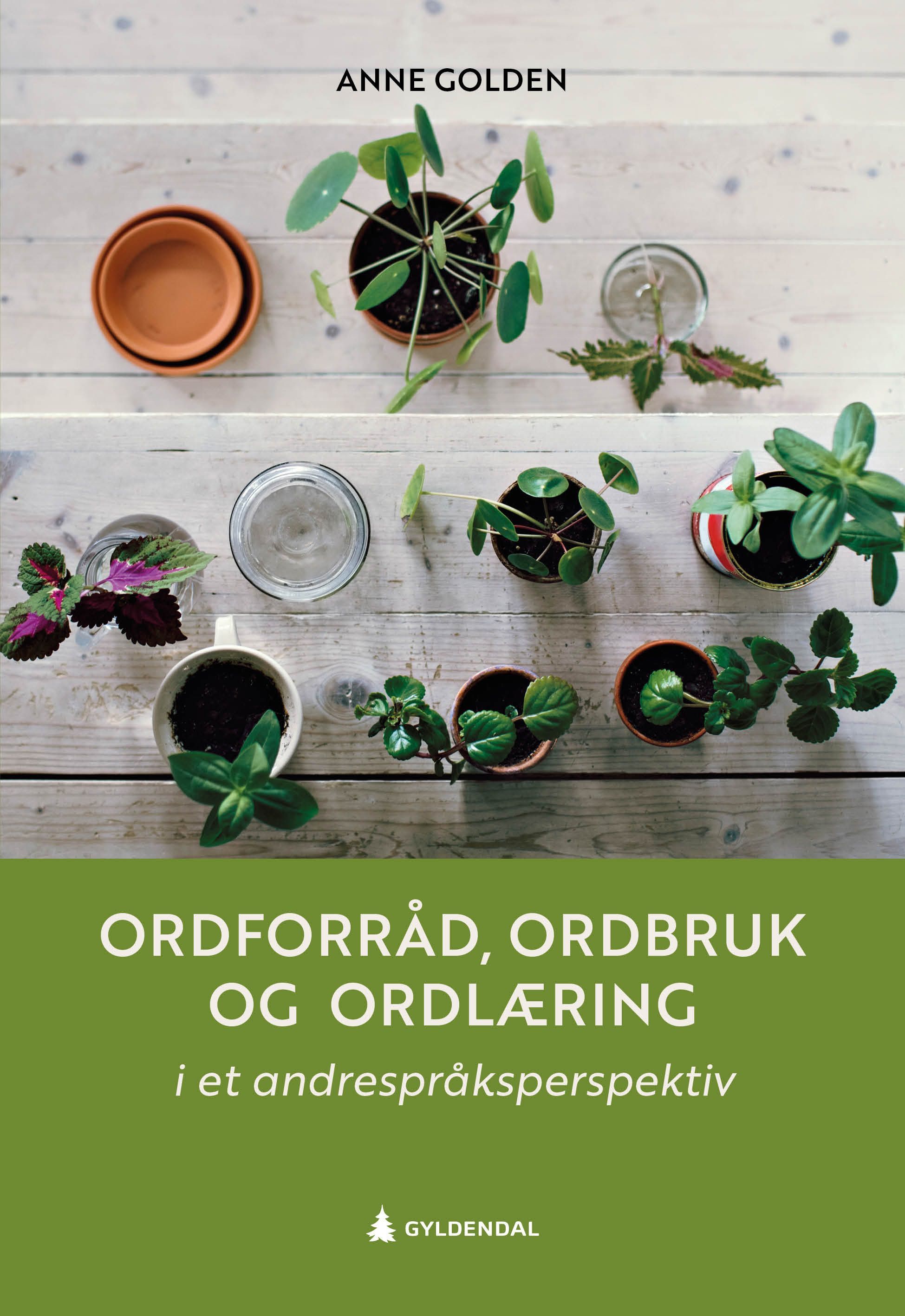 Ordforråd, ordbruk og ordlæring : i et andrespråksperspektiv