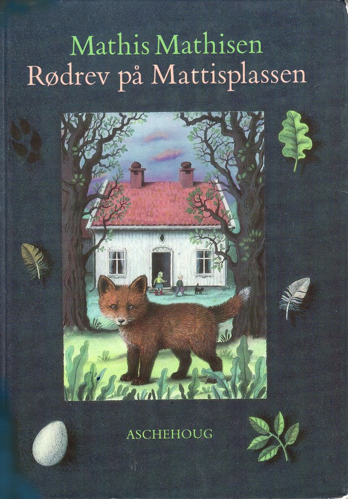 Rødrev på Mattisplassen