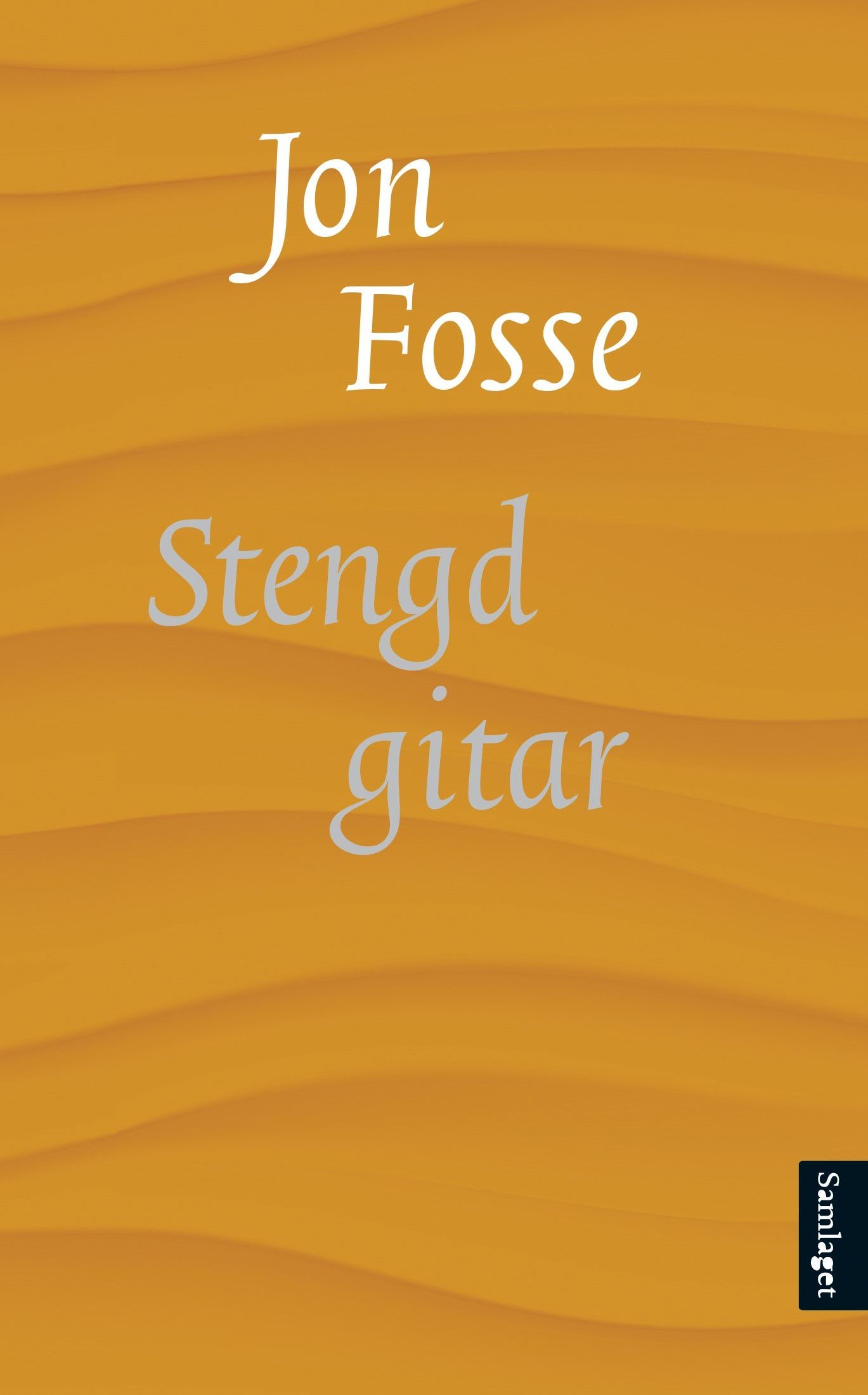 Stengd gitar : roman
