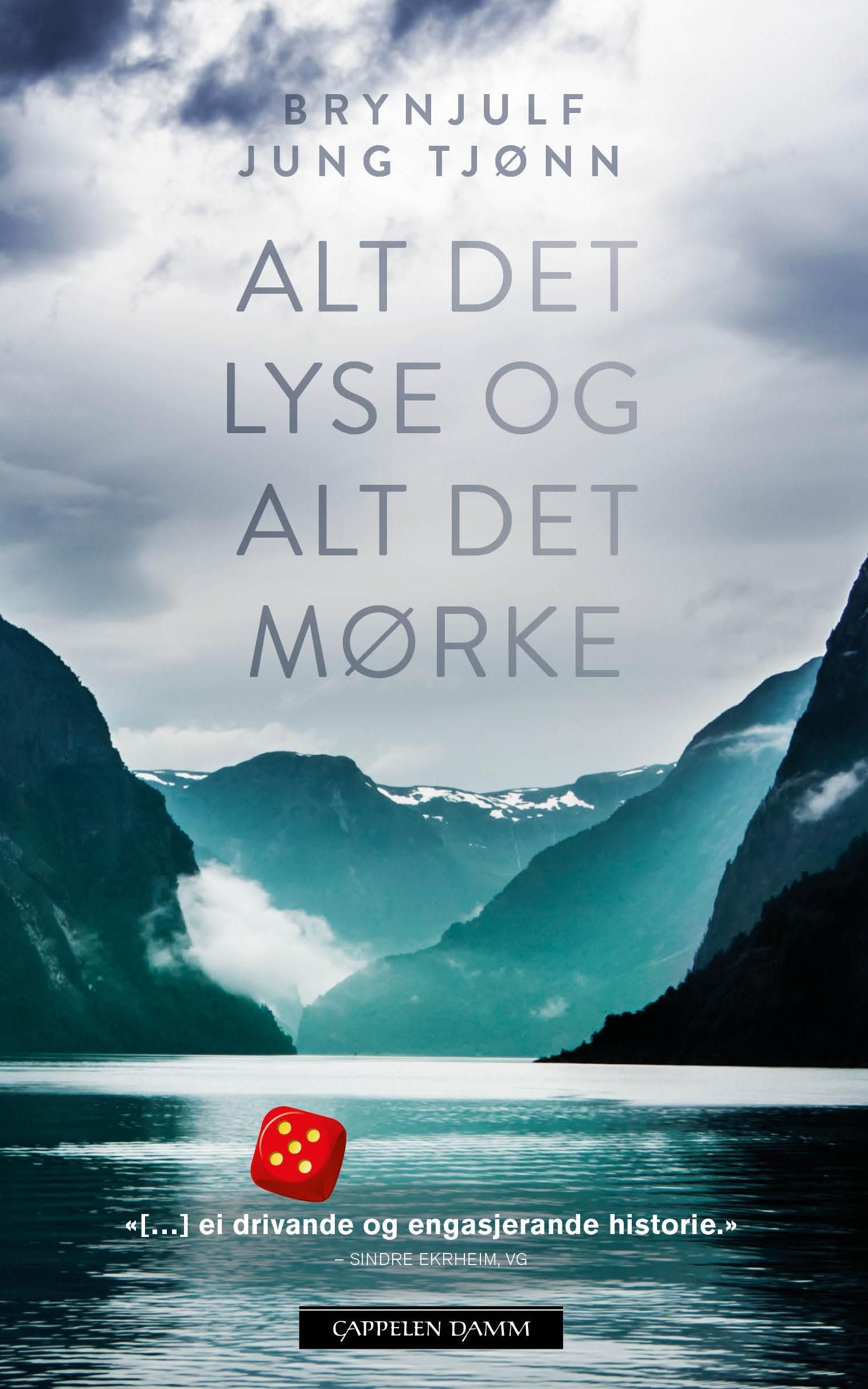 Alt det lyse og alt det mørke : roman