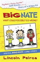Big Nate : what could possibly go wrong?