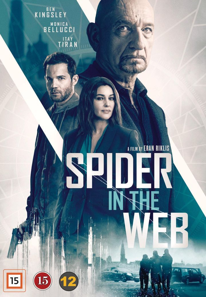 Spider in the web