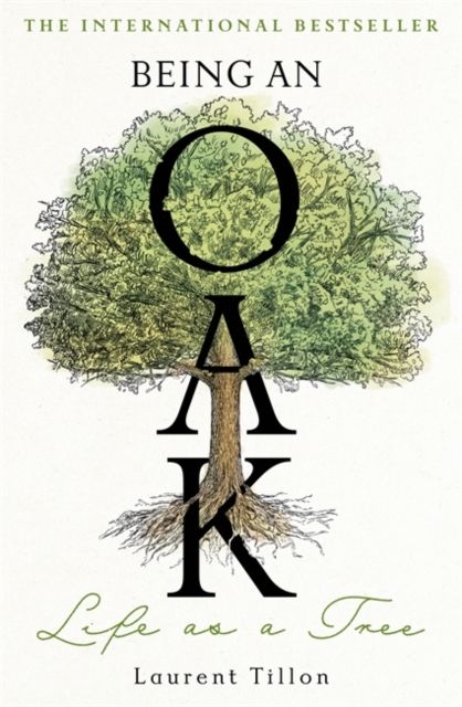 Being an Oak : Life as a tree