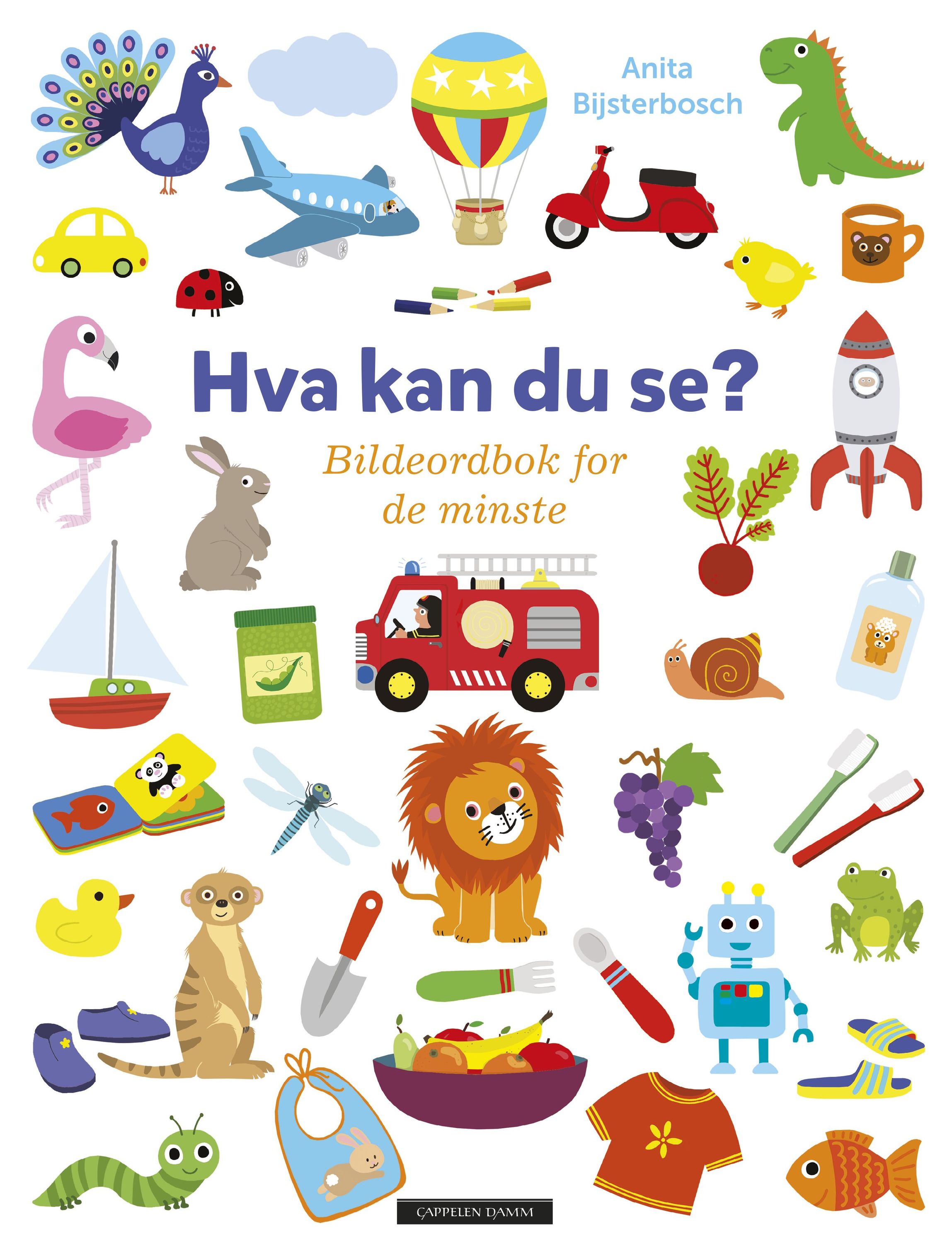 Hva kan du se? : bildeordbok for de minste