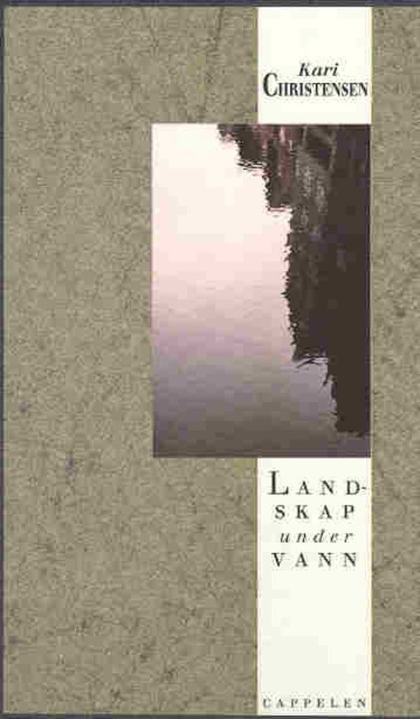 Landskap under vann