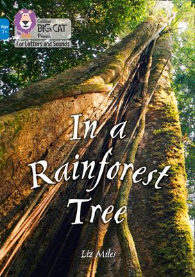 In a Rainforest Tree : Band 04/Blue