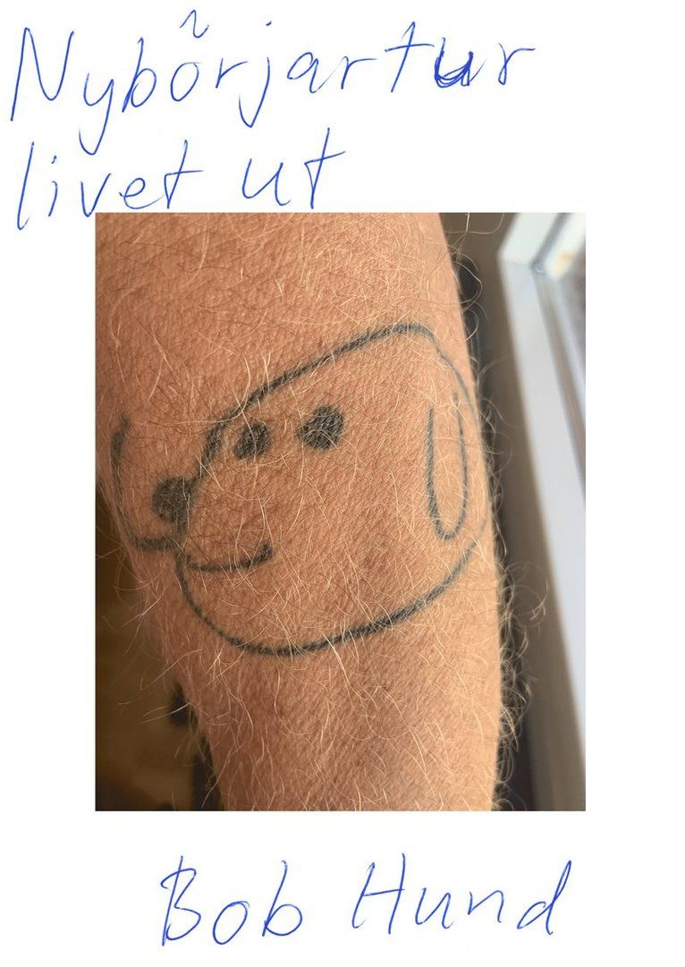 Nybörjartur livet ut : Bob Hund