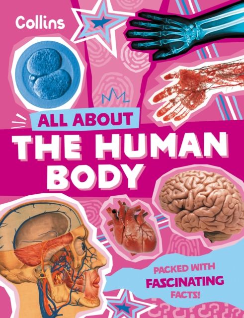 Forsidebilde av The Human Body