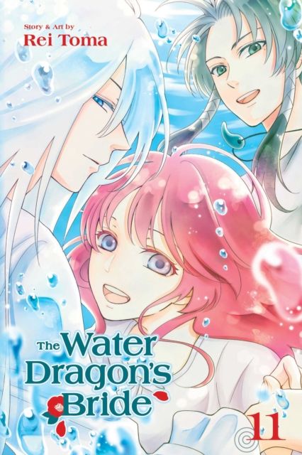 Forsidebilde av Water Dragon's Bride, Vol. 11