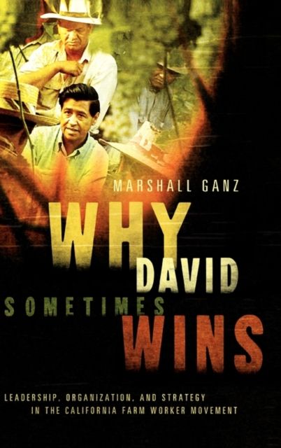 Why David Sometimes Wins : Leadership, Strategy and the Organization in the California Farm Worker Movement