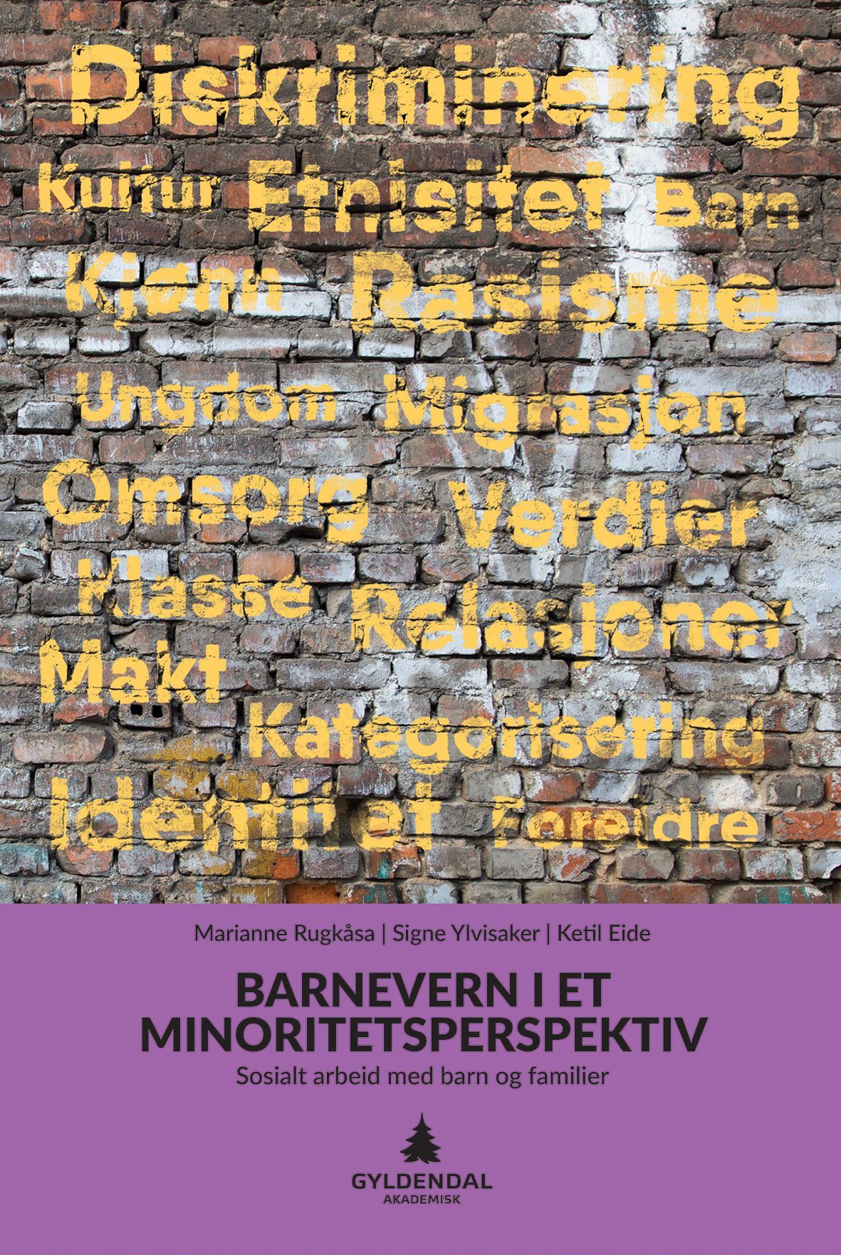 Barnevern i et minoritetsperspektiv : sosialt arbeid med barn og familier