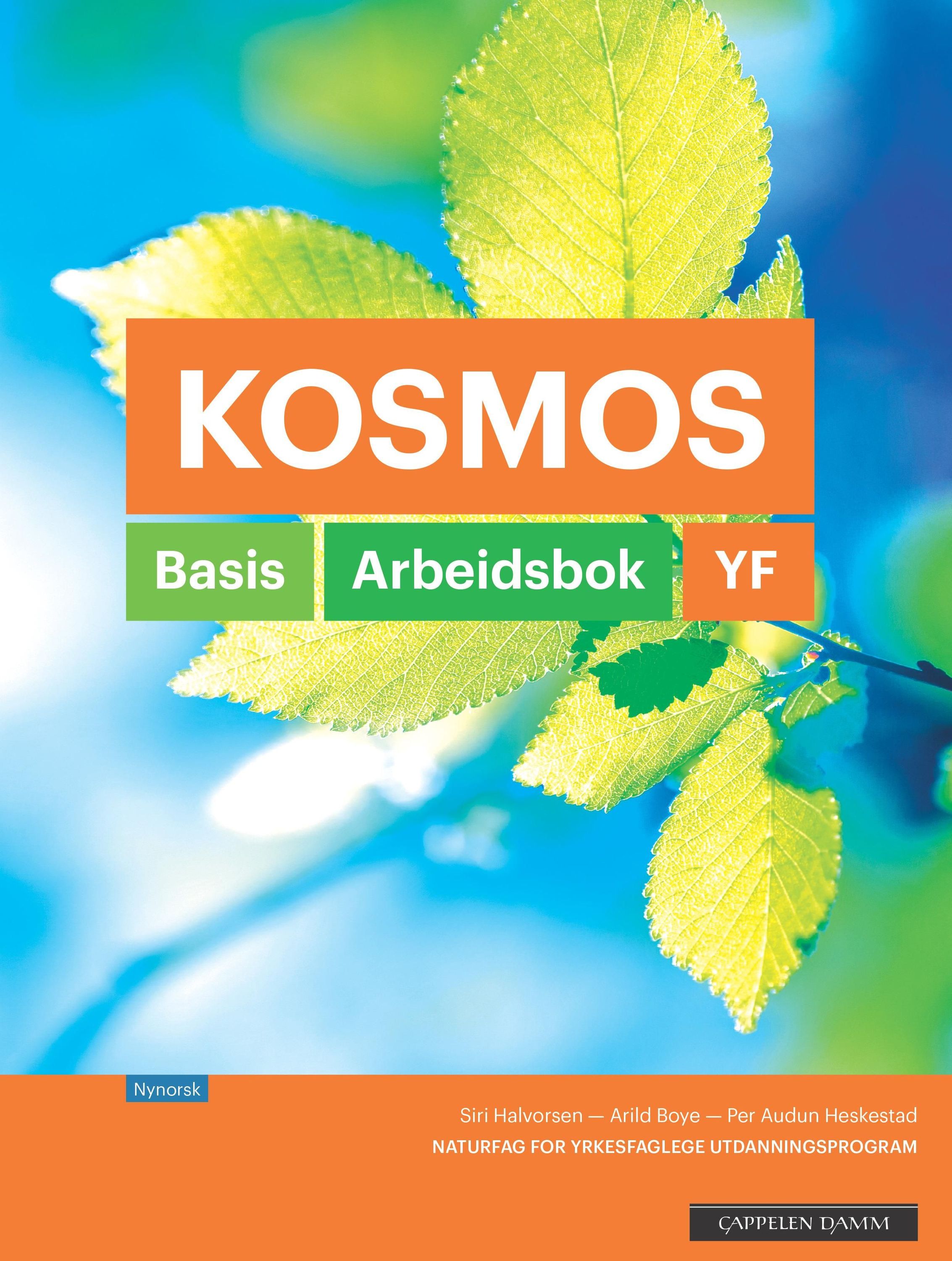 Kosmos YF : basis : arbeidsbok : naturfag for yrkesfaglege utdanningsprogram