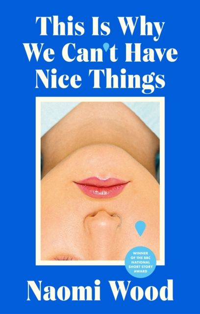 This Is Why We Can't Have Nice Things : Winner of the 2023 BBC National Short Story Award