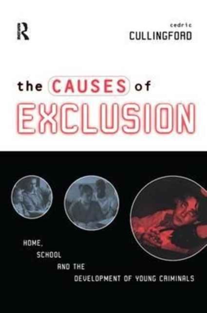 The Causes of Exclusion : Home, School and the Development of Young Criminals