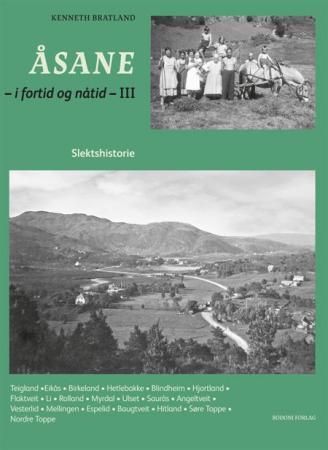 Åsane : i fortid og nåtid : III : slektshistorie