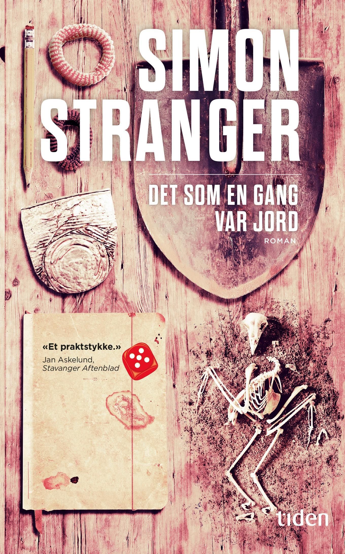 Det som en gang var jord : roman