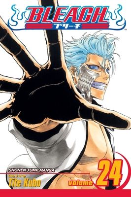Bleach. vol. 24. Immanent God blues