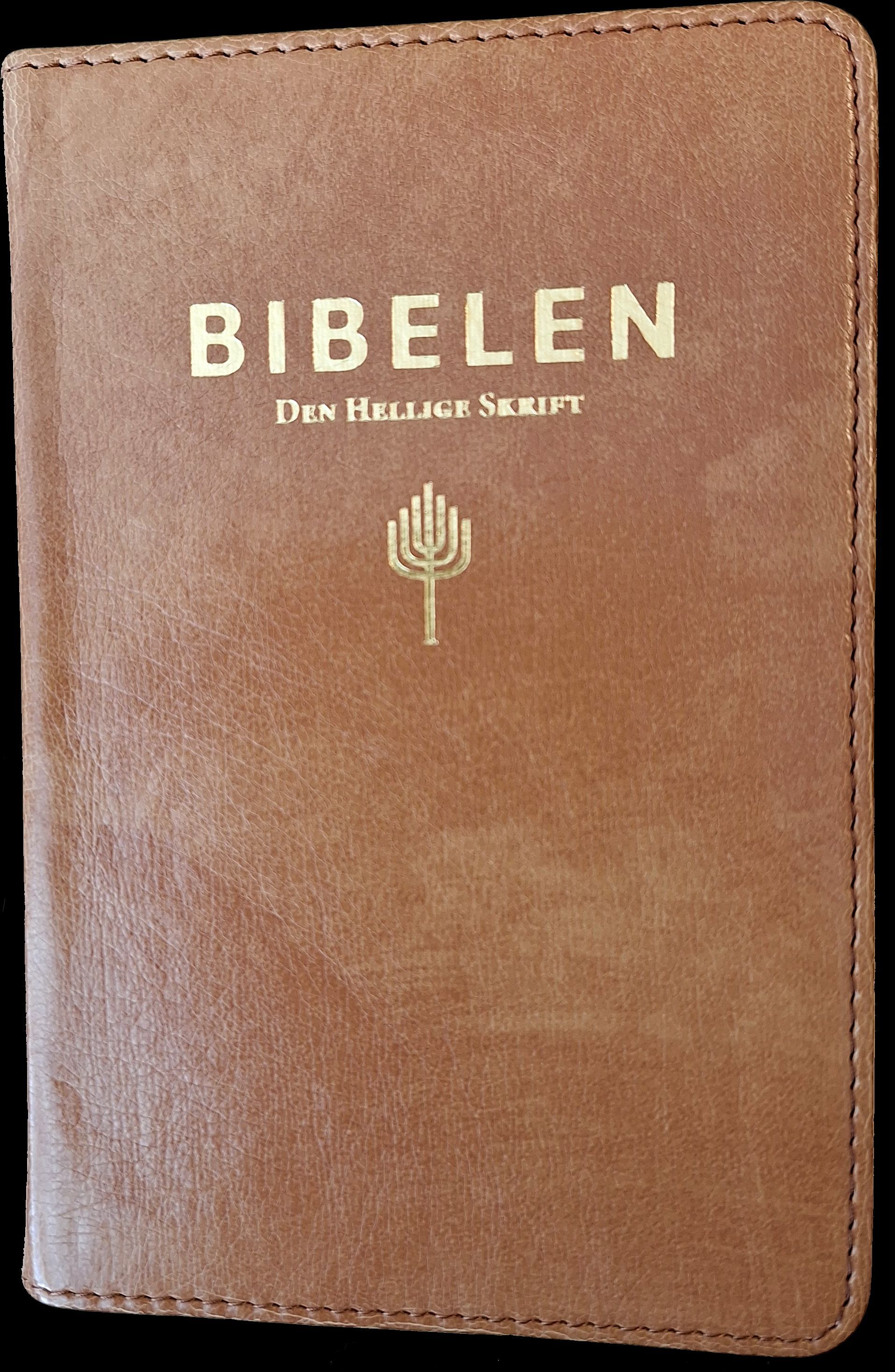 Bibelen : Den hellige skrift : Det gamle og Det nye testamentes kanoniske bøker