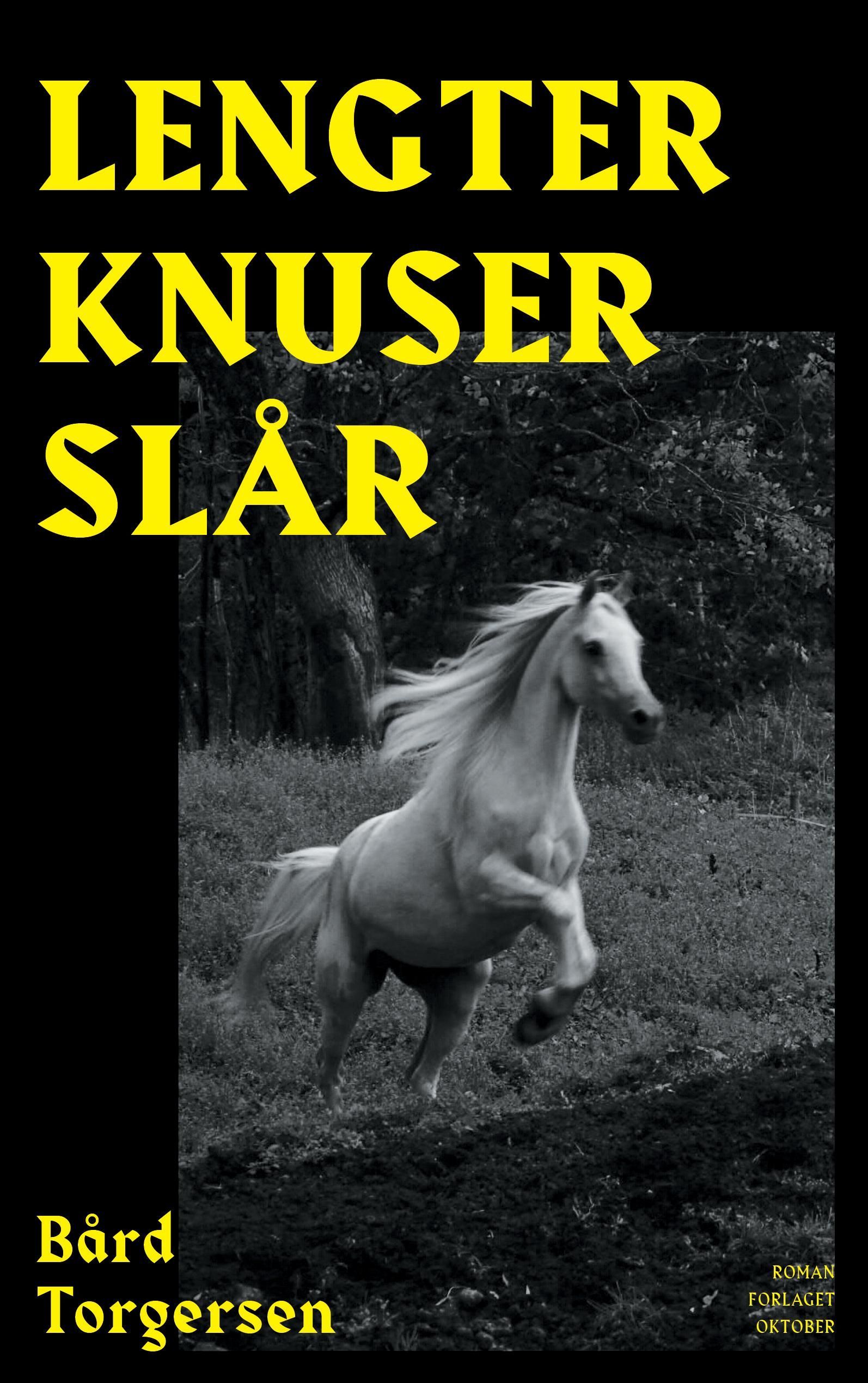 Lengter knuser slår : roman