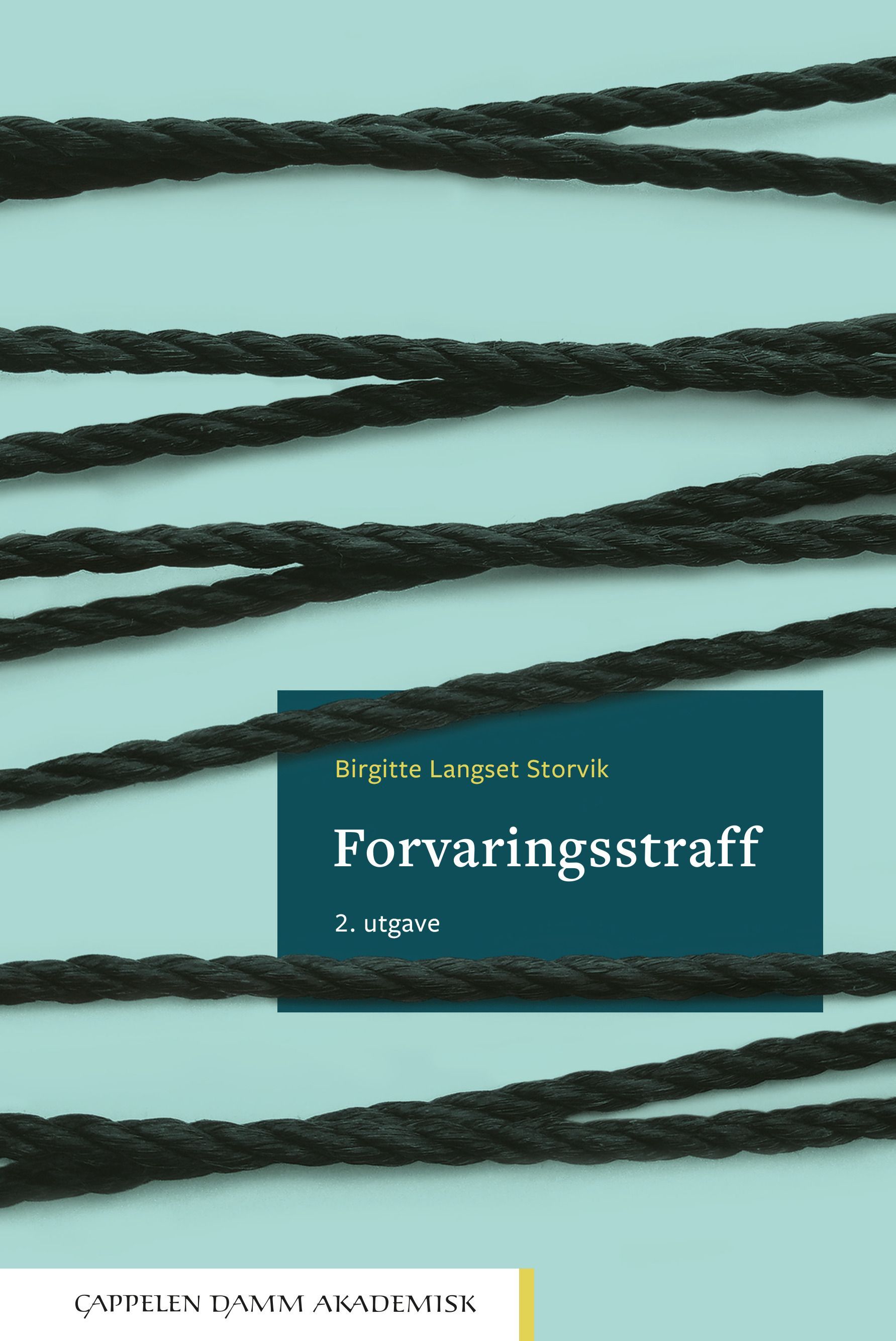 Forsidebilde av Forvaringsstraff
