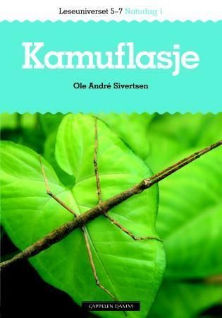 Forsidebilde av Kamuflasje