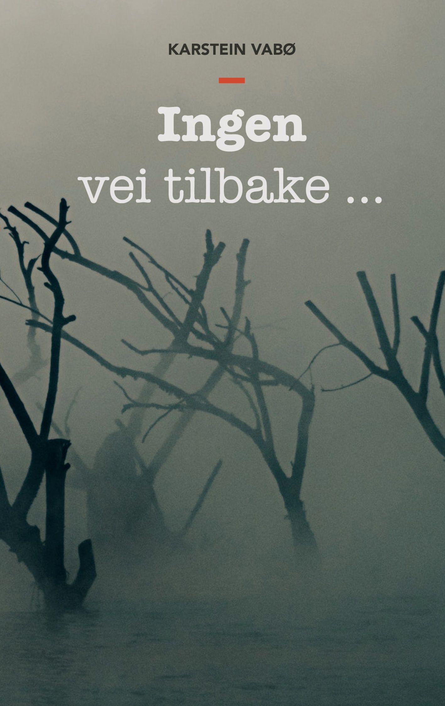 Ingen vei tilbake... : en biografisk roman