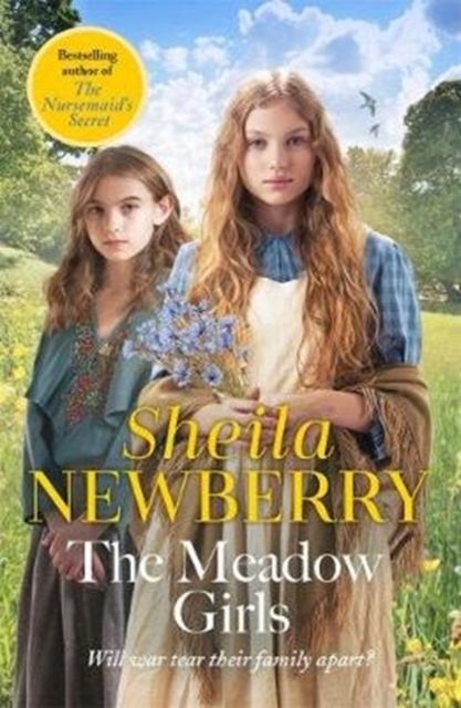 Forsidebilde av The Meadow Girls : A heartwarming World War I saga