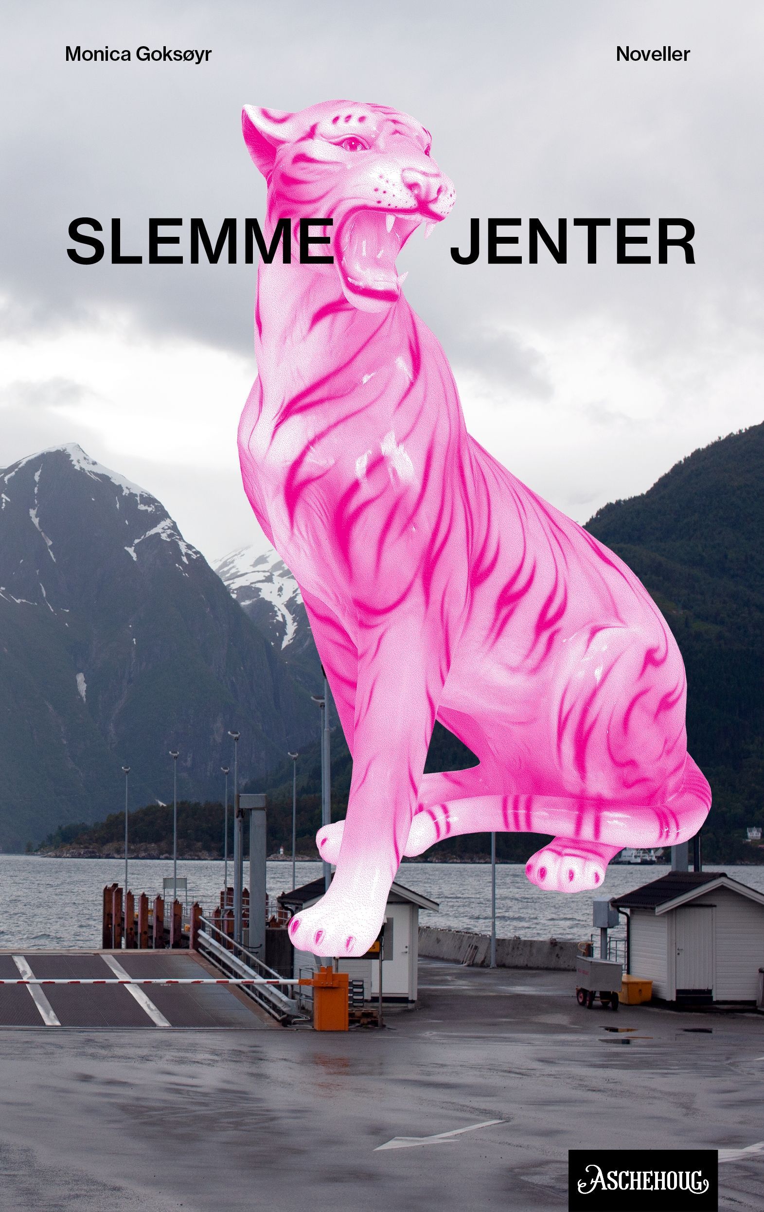 Slemme jenter : noveller