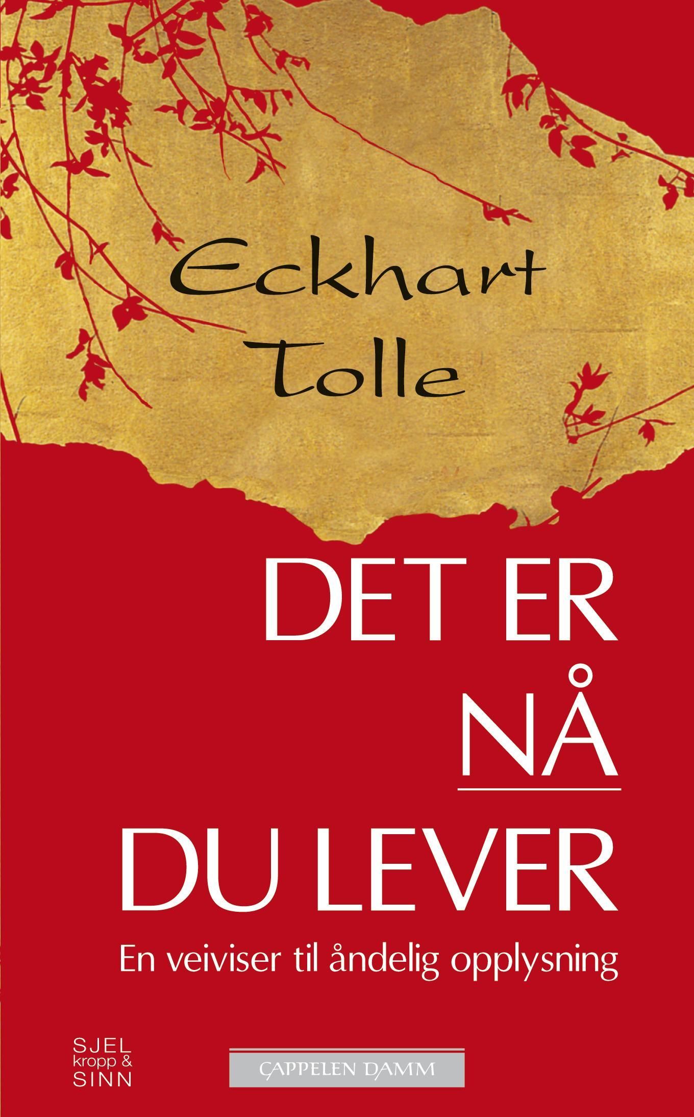 Det er nå du lever : en veiviser til åndelig opplysning