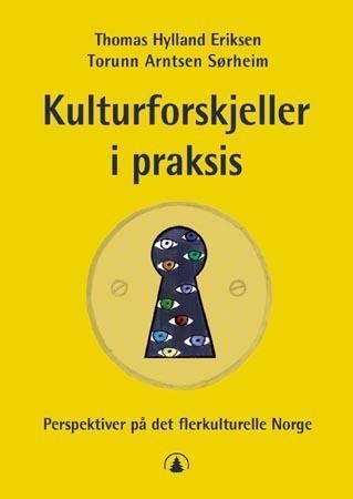 Kulturforskjeller i praksis : perspektiver på det flerkulturelle Norge