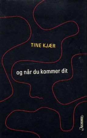 Og når du kommer dit : roman