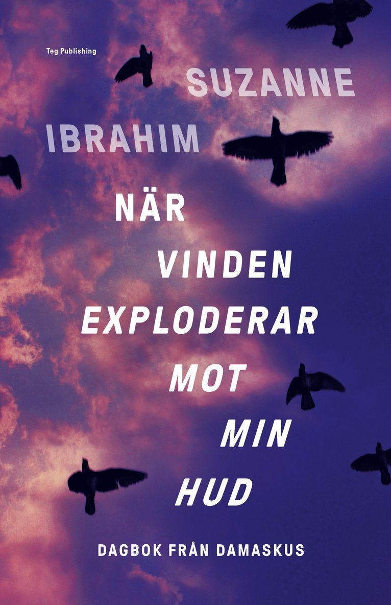 När vinden exploderar mot min hud : dagbok från Damaskus