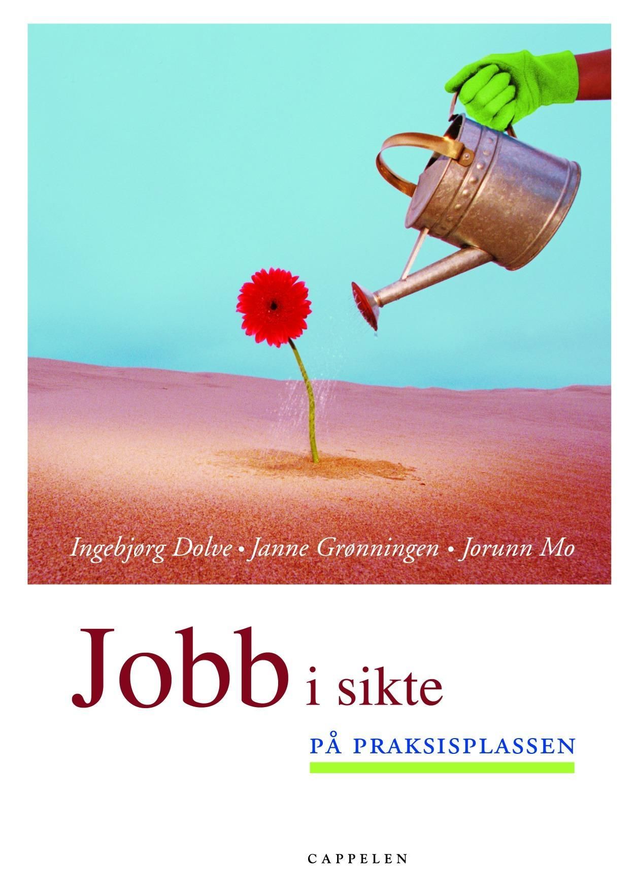 Jobb i sikte : på praksisplassen