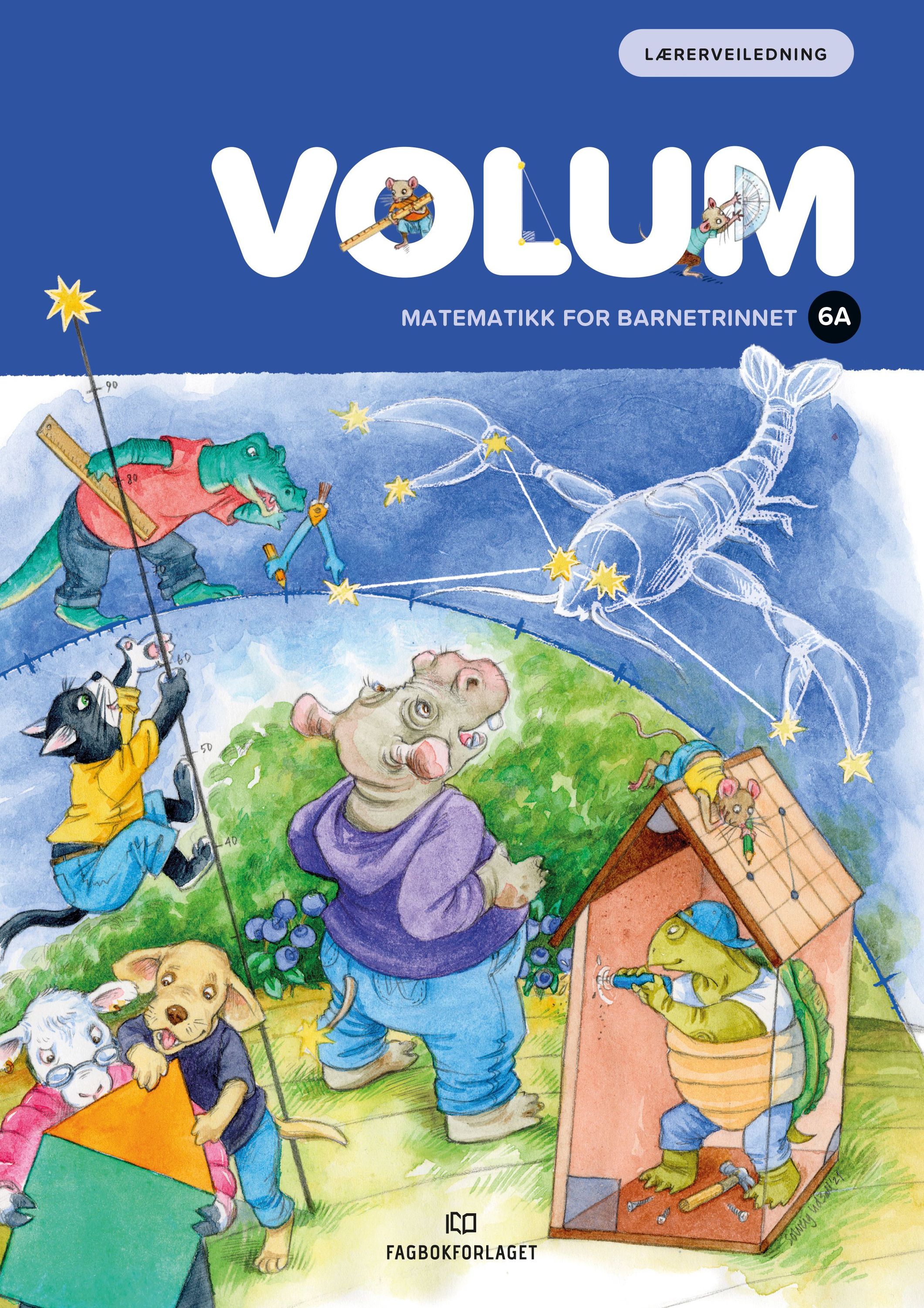 Volum 6A : lærerveiledning