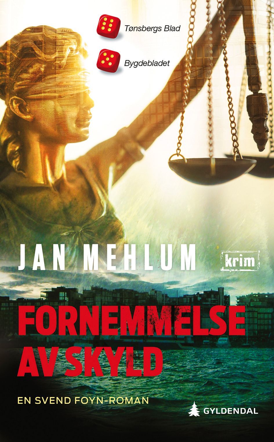 Fornemmelse av skyld : kriminalroman