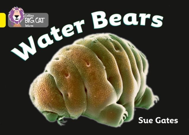 Water Bears : Band 03/Yellow