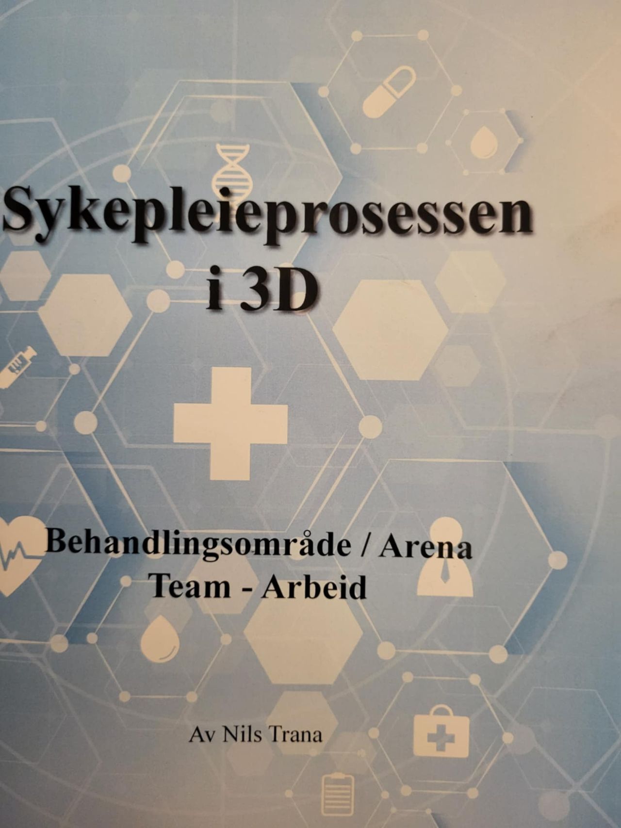Sykepleieprosessen i 3D : behandlingsområde / arena, team, arbeid