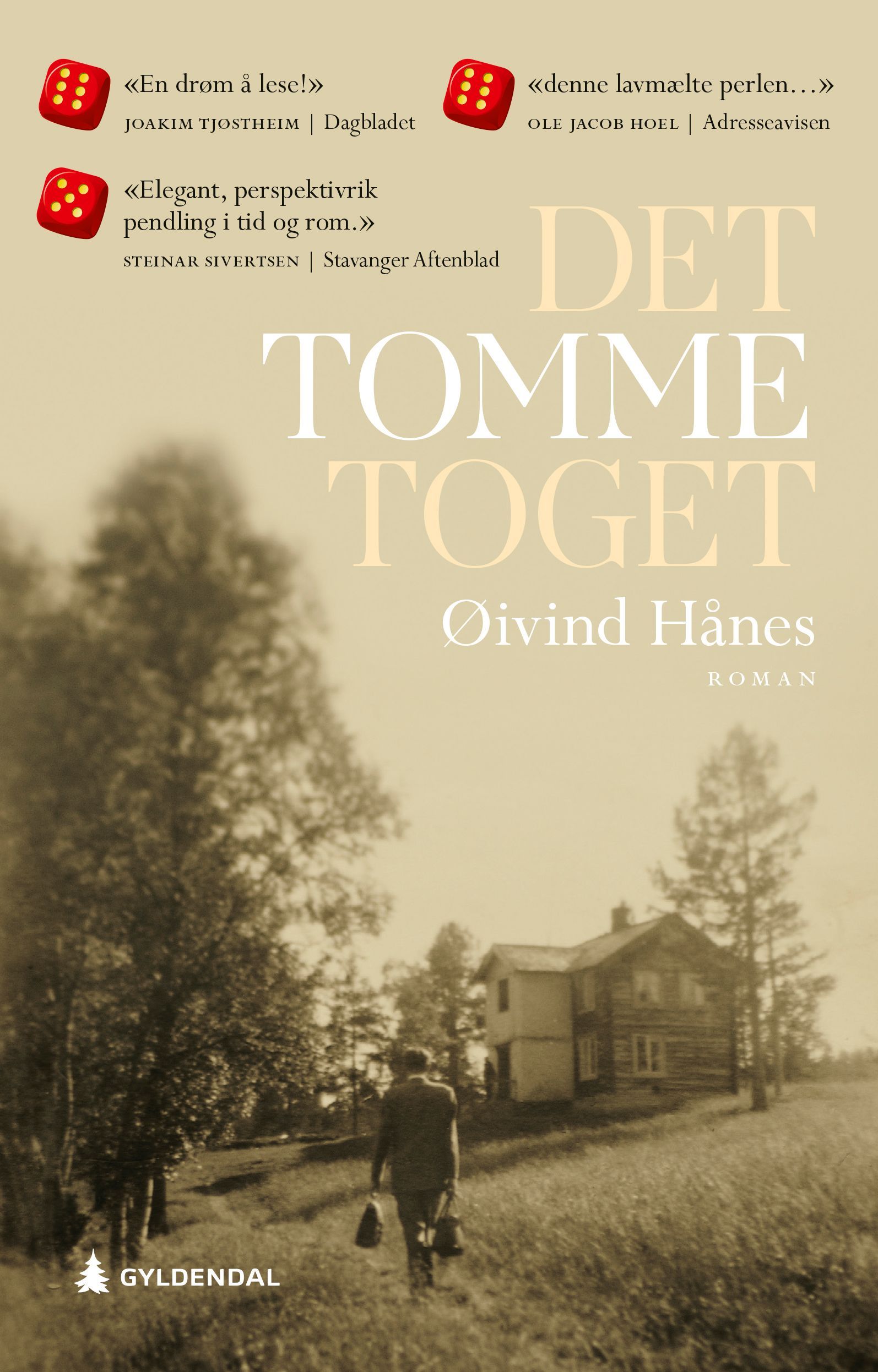 Det tomme toget : roman