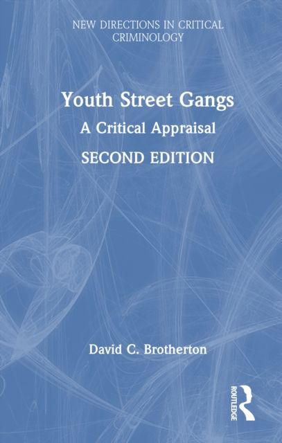 Youth Street Gangs : A Critical Appraisal