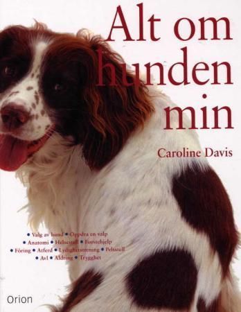 Alt om hunden min
