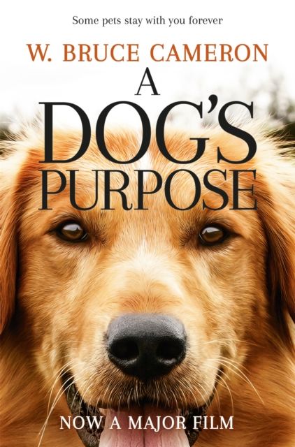 A dog's purpose : a novel for humans
