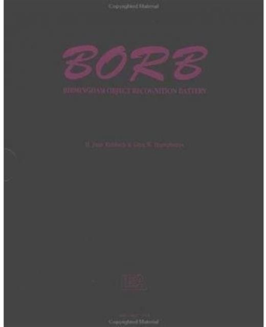 BORB : Birmingham Object Recognition Battery