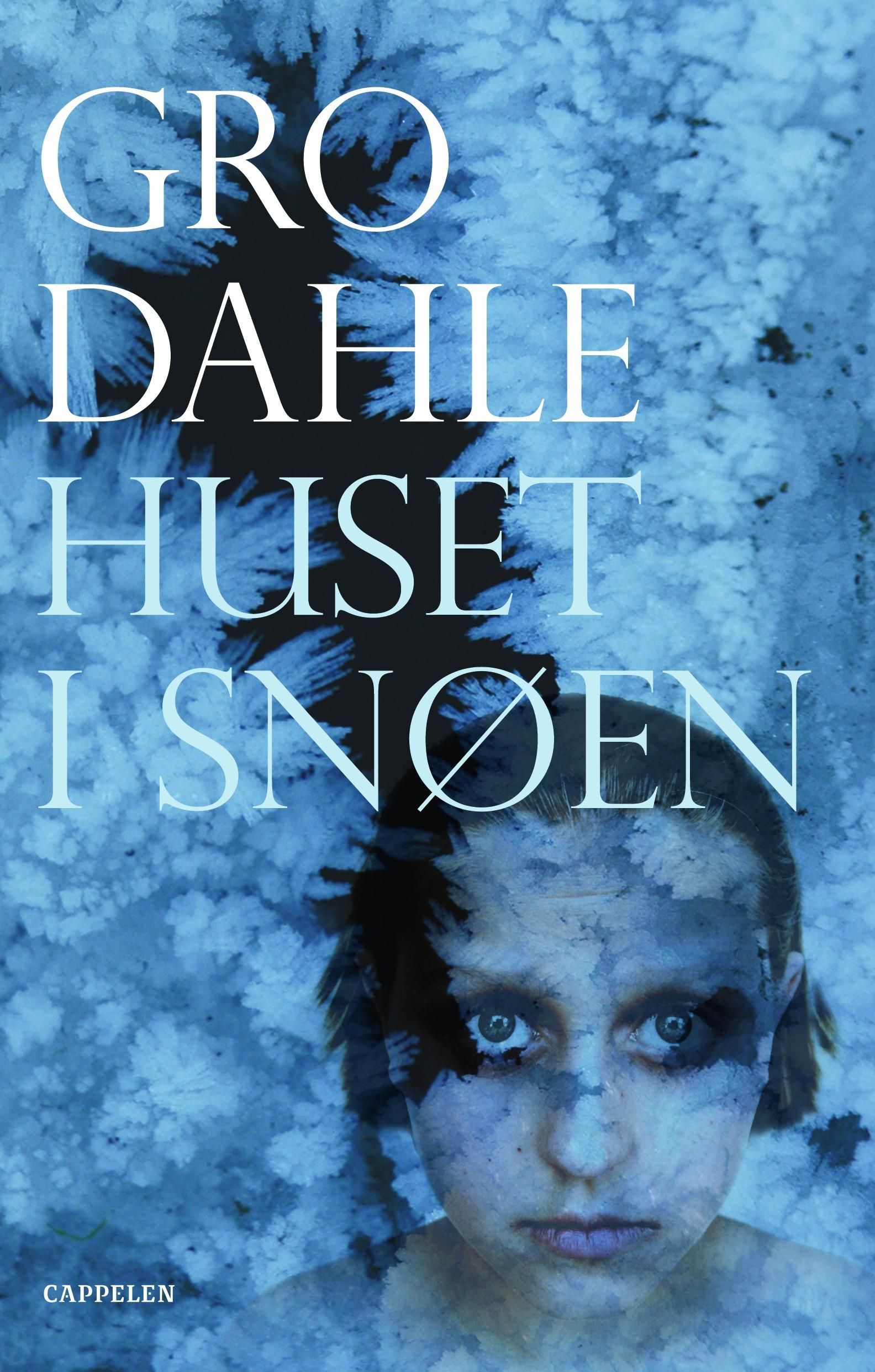 Huset i snøen : roman