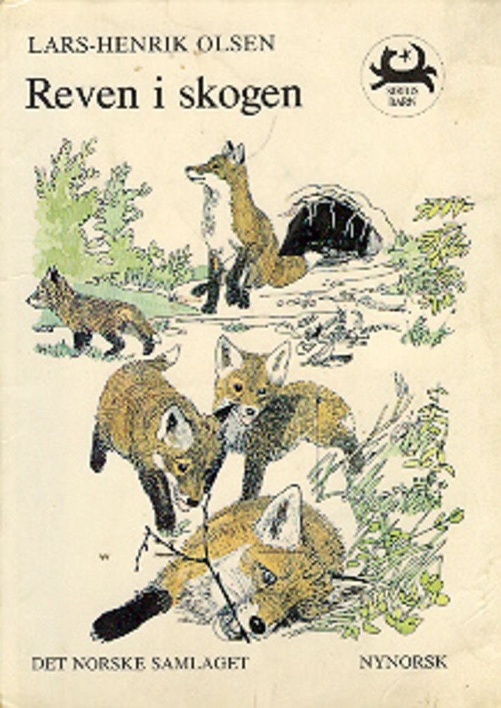 Reven i skogen